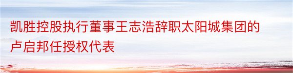凯胜控股执行董事王志浩辞职太阳城集团的卢启邦任授权代表