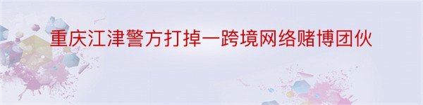 重庆江津警方打掉一跨境网络赌博团伙